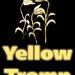 yellowtromp