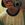 raimundo_nonato