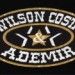 WILSON COSTA & ADEMIR
