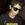 jorgeday