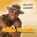 valdo assis