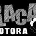 placamotora
