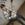 bmrs270496