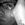 w.silva