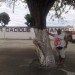 marceloandarai