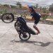 dograul