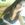 AninhaH
