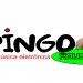 Dj Pingo