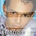 RodrigoBass