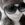 jaine_d