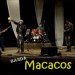 bandamacacos