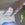 wilc