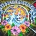 A Flor de um novo reggae