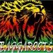 baggaroots