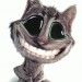 Marcelo Negr�o