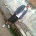 nando_vj