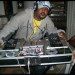 dj.coyote