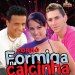 formiga2011