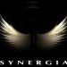 Synergia