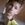 fabiano_both