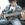 vini