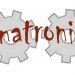Anatronik's