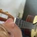 Guilherme Viebig