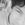 Joey