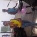 mel cavalcante