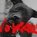 nokaus