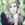 sophiabrahao