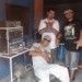 proclamadores do rap