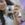 alineeh.h