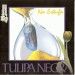 Tulipa Negra