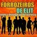 forrozeiros