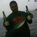 jair1984