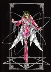 Os Cavaleiros Do Zodíaco