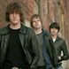  The Pigeon Detectives