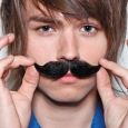  The Ready Set