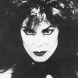  The Sisters Of Mercy