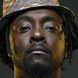 will.i.am