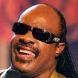  Stevie Wonder