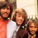  Bee Gees