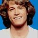  Andy Gibb