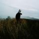 Fotos de Sparklehorse