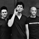  The Script
