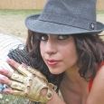  Lady Gaga