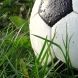  Hinos de Futebol