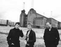 Muse