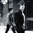  MGMT